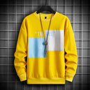 "TRAVEL" Men's Harajuku Letter Color Block Sweatshirt - AM APPAREL